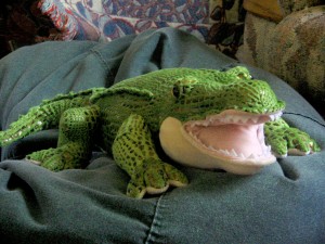 stuffed-alligator